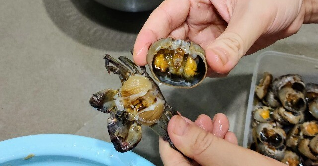 Mua cua đồng về chớ dại nấu luôn, ngâm ngay vào thứ nước này, giun sán trong cua phải bò ra hết mới yên tâm