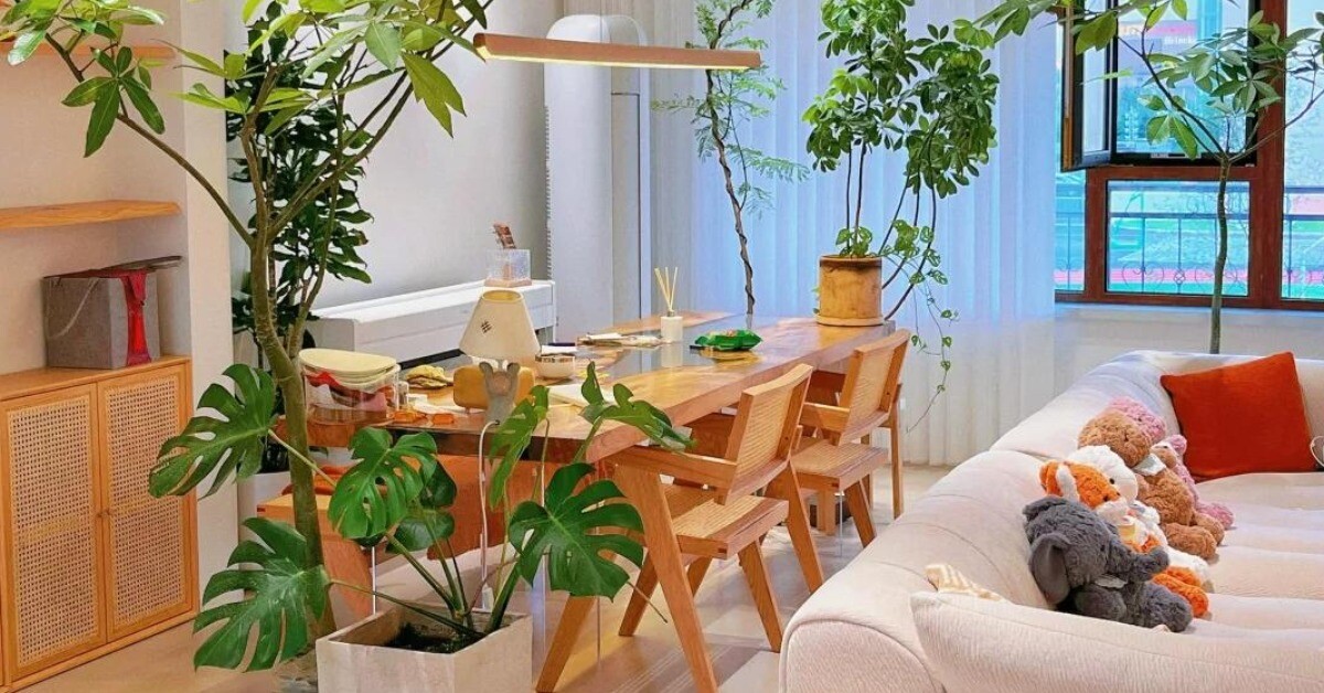 Nhà có 5 loại hoa này, con cái luôn có quý nhân giúp đỡ, càng trồng gia đình càng vượng phát