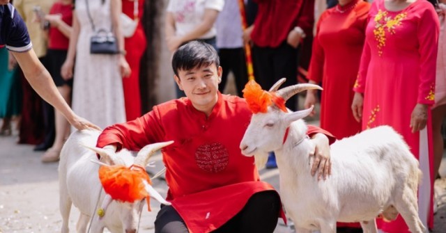 Chú rể dắt 2 con dê đi đón vợ, phía sau là chuyện hài hước