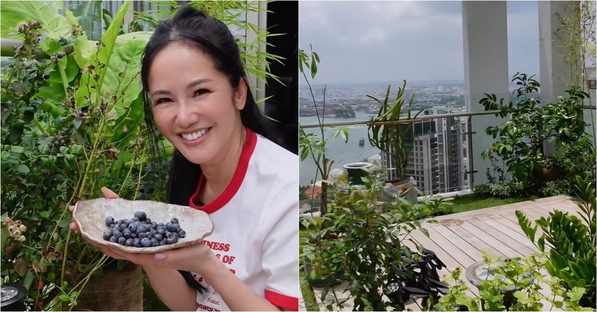 Khu vườn trên cao ở penthouse mới giúp Hồng Nhung "chữa lành" sau biến cố, Diva khoái chí thu hoạch "ngọc xanh"