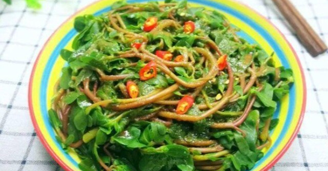 Cây dại vứt xuống đất là mọc tua tủa, có vị chua chua đem nấu canh hoặc xào vừa ngon lại bổ