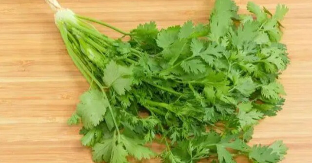 Bảo quản rau mùi trong tủ lạnh là sai, đầu bếp nhà hàng chỉ bạn một mẹo, giữ rau thơm tươi được lâu