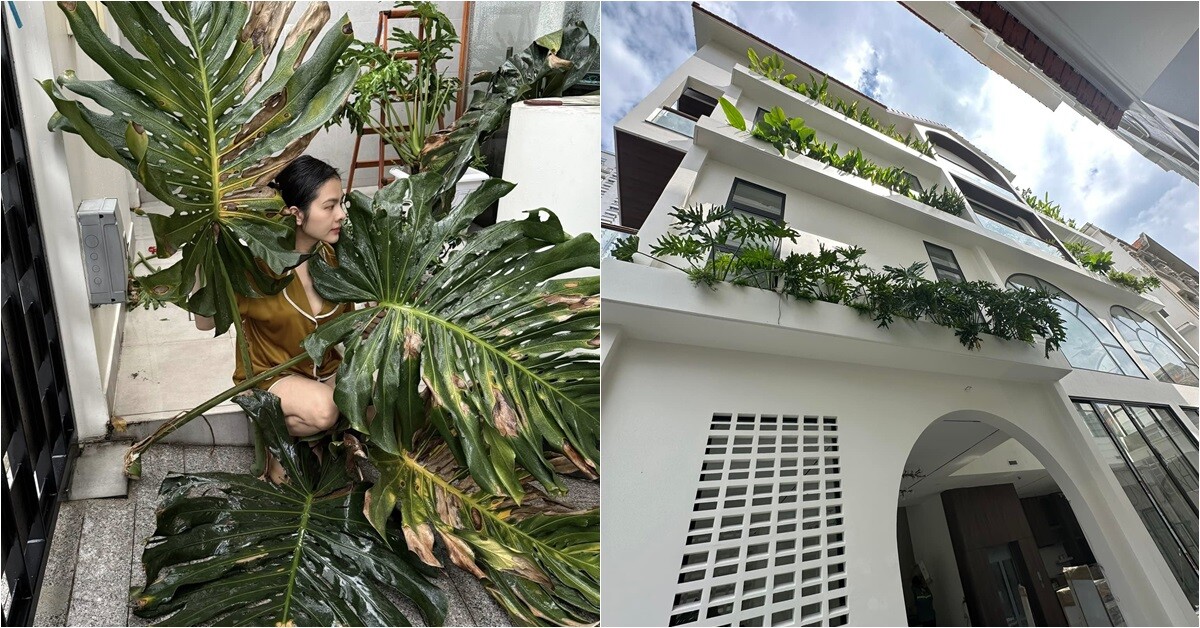 Cây lá to hơn người được Vân Trang trồng khắp ngóc ngách biệt thự 1.000m2 nhưng từng khiến cô phải "khóc một dòng sông"