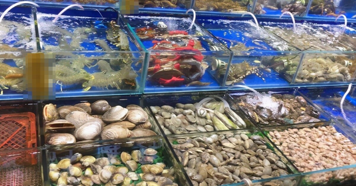 Khi mua hải sản, cảnh giác với 4 loại “chiêu trò” này, người bán hàng nói: Bạn thực sự là chuyên gia!
