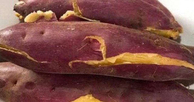 Loại củ được ví như 