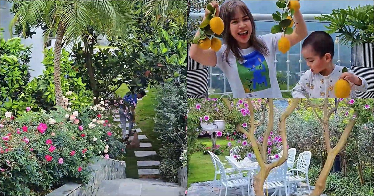 Khu vườn mùa hè ở biệt thự trên núi của vợ chồng diễn viên Mạnh Trường: Hoa giăng lối, cây trĩu quả