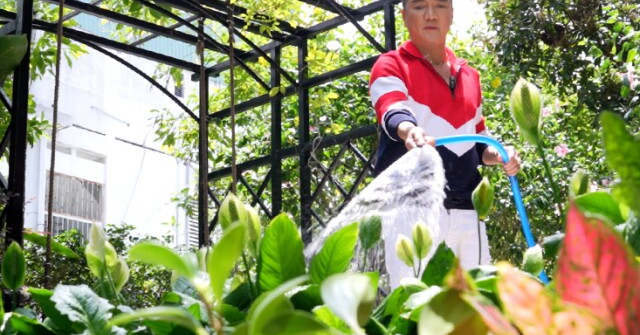 Đàm Vĩnh Hưng trồng trọt ở biệt thự 500 m2