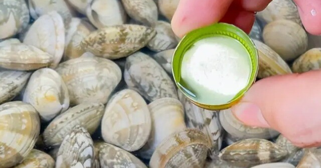 Mua ngao về nhiều cát, ngư dân kinh nghiệm 10 năm mách mẹo này 5 phút là ngao sạch sẽ chẳng cần cầu kỳ