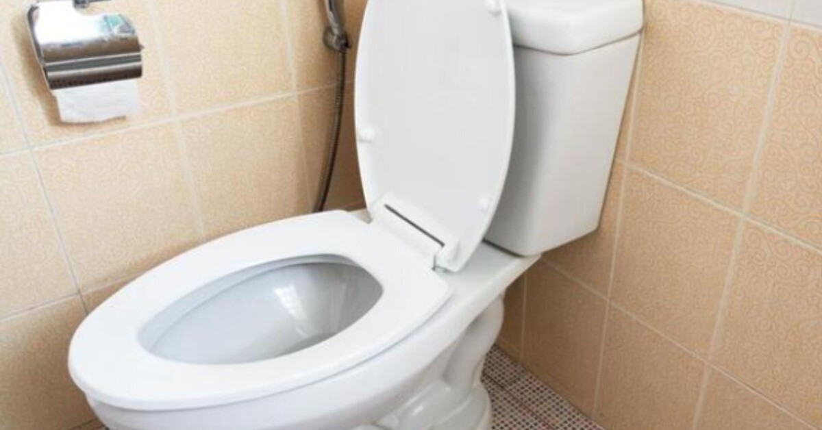 Tại sao ngày càng nhiều người loại bỏ bồn cầu truyền thống? Hóa ra là vì thiết kế mới này
