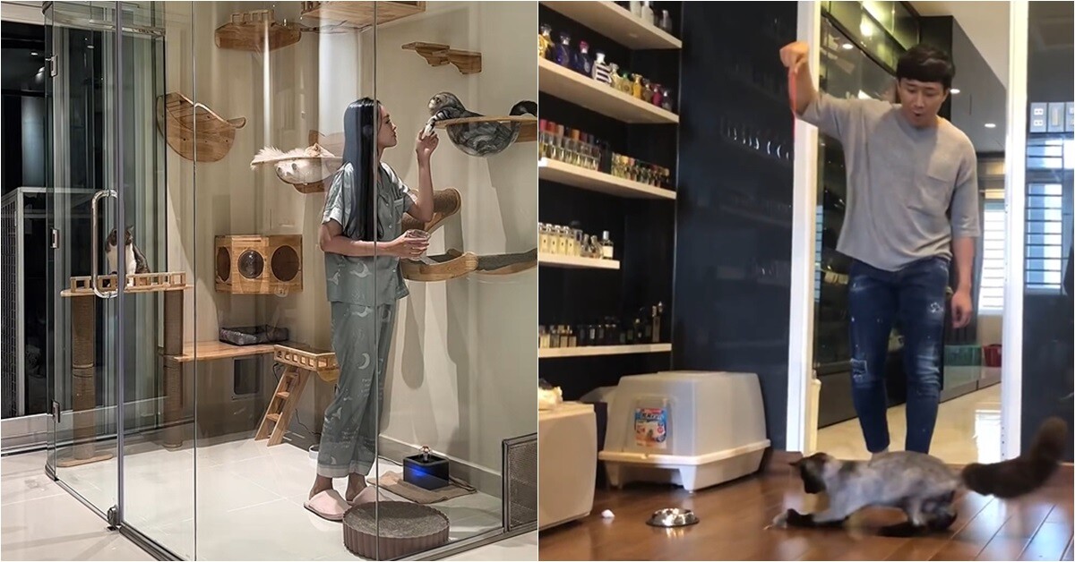 Điểm giống nhau giữa nhà của Trấn Thành - Anh Đức, liên quan đến sở thích của 2 cô vợ xinh đẹp