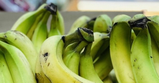 Khỏi gan nhiễm mỡ nhờ 2 món bình dân trong bữa sáng