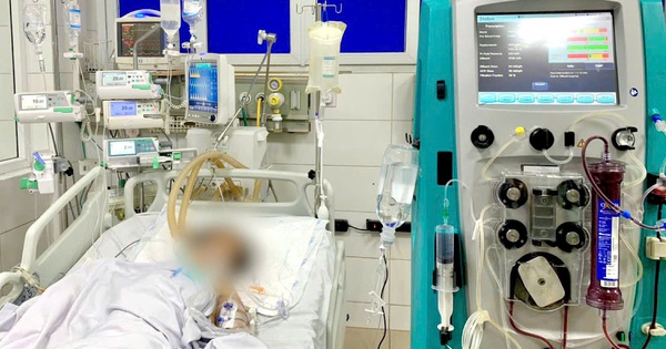 Hà Nội: Cứu sống bệnh nhân bị sốt trong tình trạng nguy kịch nhờ phát hiện mò ở vùng kín