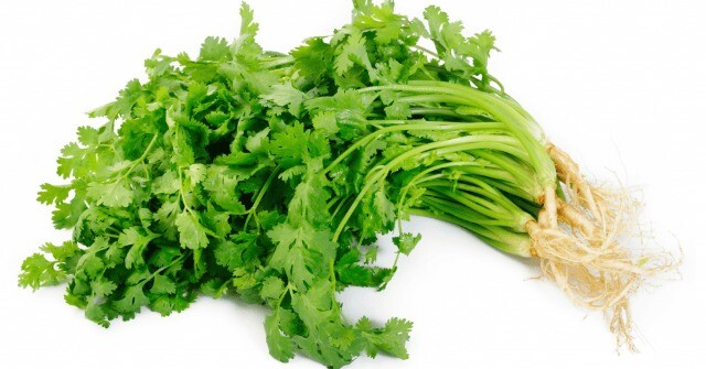 Bảo quản rau mùi trong tủ lạnh là sai lầm, đầu bếp nhà hàng hướng dẫn 1 mẹo để giữ rau tươi lâu, thơm như mới hái