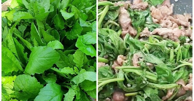 Cây này nghe tên lạnh cả gáy, xưa cho lợn ăn nay thành đặc sản, giá trên dưới 100.000đ/kg, cứ nhắc đến là ai cũng thích