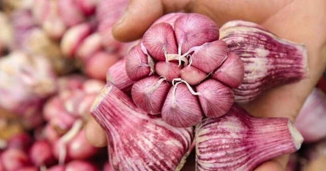 Tỏi bán đầy chợ nhưng có 5 củ này đừng mua, ngay cả người bán rau cũng không ăn, hãy nhanh nhắc nhở gia đình