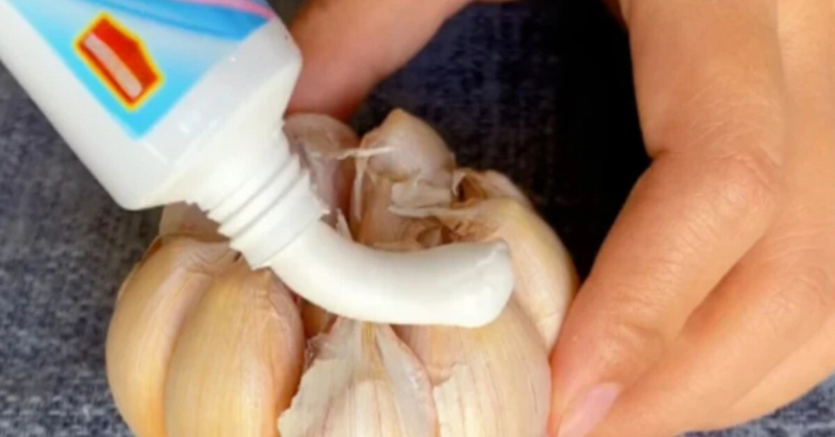 Mẹ chồng bôi kem đánh răng lên tỏi rồi đặt trong bếp và phòng tắm, 3 ngày sau tôi cảm ơn bà