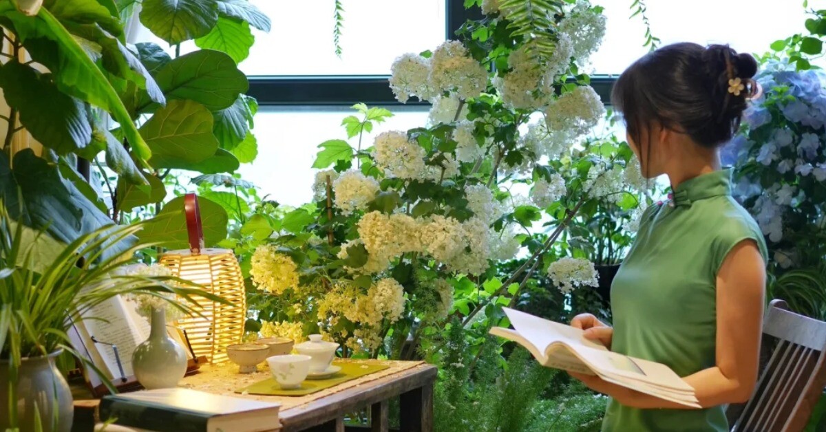 Người giàu thích trồng 3 loại cây này hơn hoa, vừa sang vừa hút tài lộc, bảo vệ sức khỏe cả nhà