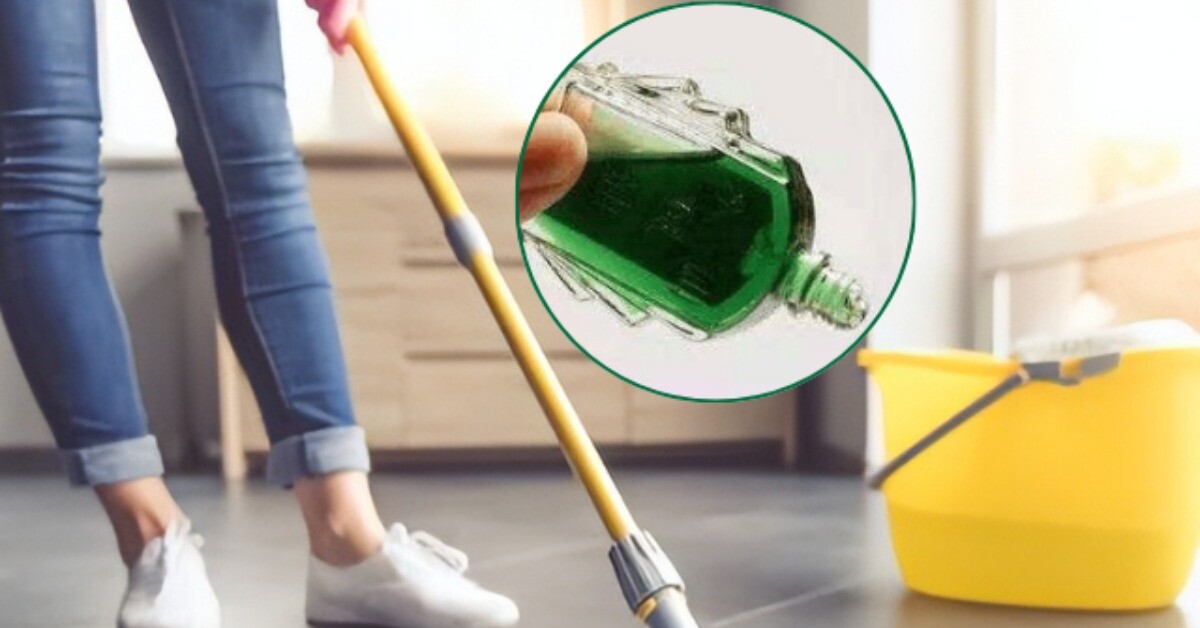 Người thông minh thường nhỏ vài giọt dầu gió vào nước lau nhà, biết lý do tôi liền học theo