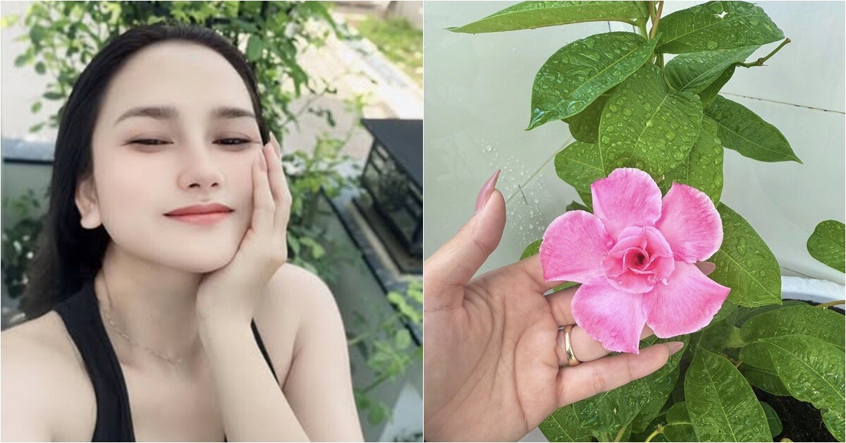 Vợ "nhạc sĩ giàu nhất Việt Nam" khoe khu vườn biệt thự nhưng làm ai nấy nghẹn ngào vì dấu ấn 2 người thân