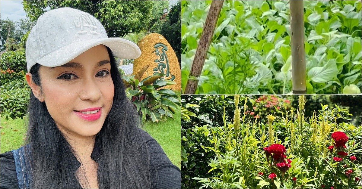 Cuộc sống "thôn quê" của Việt Trinh ở nhà vườn 3.000m2: Có vườn rau xanh thích mắt, ai nhìn cũng thấy an yên