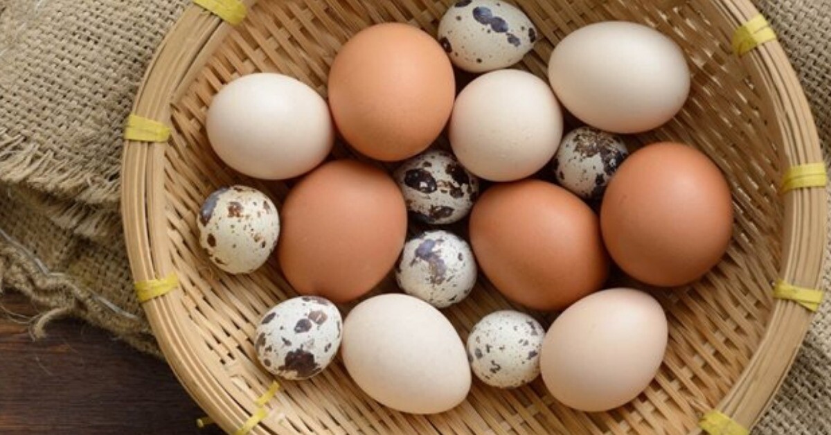 Loại trứng quý như nhân sâm giúp bé thông minh, dinh dưỡng cao gấp 4 lần trứng gà, giá chỉ 500 đồng/quả